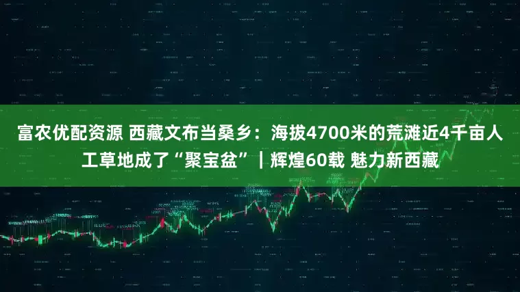 富农优配资源 西藏文布当桑乡：海拔4700米的荒滩近4千亩人工草地成了“聚宝盆”｜辉煌60载 魅力新西藏