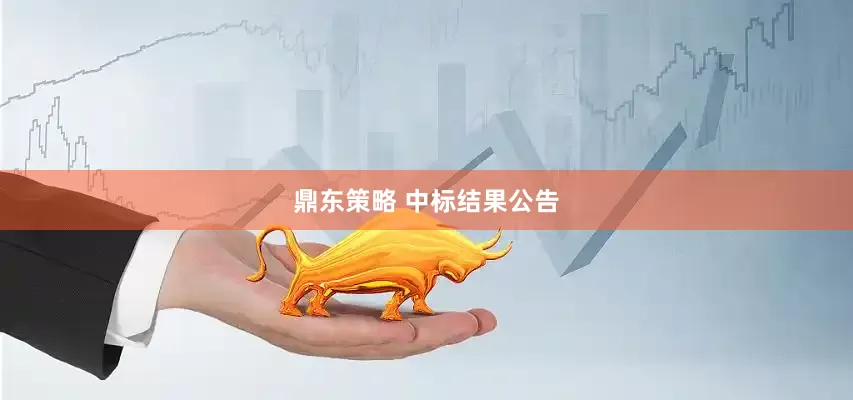 鼎东策略 中标结果公告
